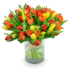 Kytice  tulipánů